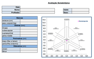 Análise Avançada do Biotipo Corporal - NutriPulse