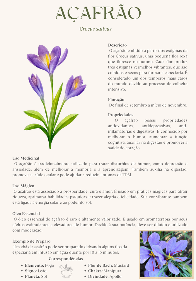 TOP 100 Ervas Medicinais: Remédios, Usos e Benefícios