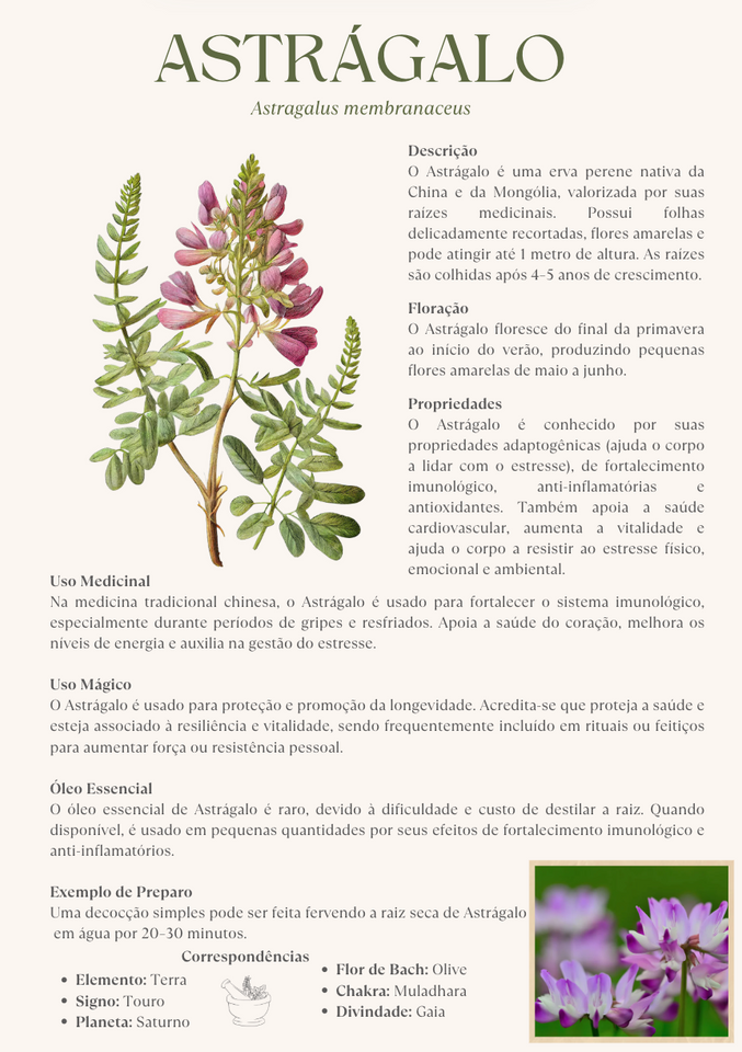 TOP 100 Ervas Medicinais: Remédios, Usos e Benefícios