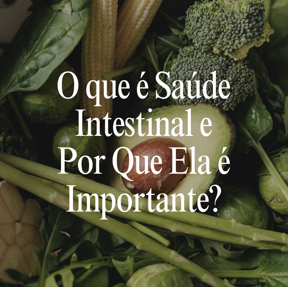 Combo Saúde Intestinal: 07 Materiais para Cuidar da Microbiota e Digestão