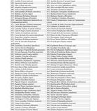 TOP 100 ERVAS: Guia Completo de Uso e Benefícios