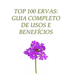 TOP 100 ERVAS: Guia Completo de Uso e Benefícios
