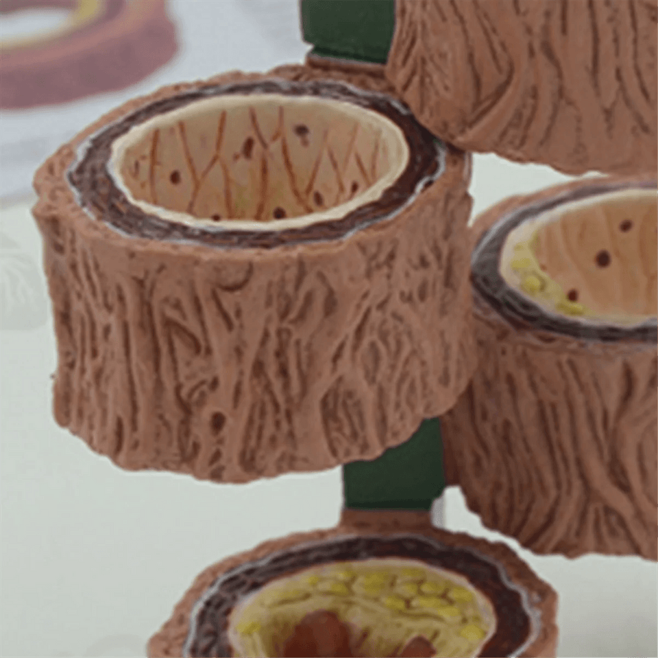 Modelo Anatômico de Artéria Humana 4 Peças - NutriPulse
