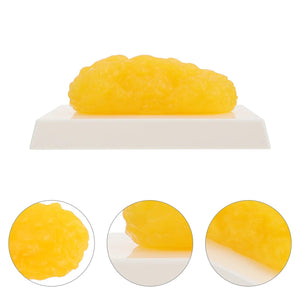 Réplica de Gordura de 1 Libra para Demonstração Anatômica - NutriPulse