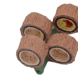 Modelo Anatômico de Artéria Humana 4 Peças - NutriPulse