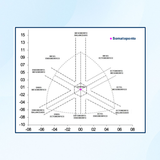 Análise do Biotipo Corporal