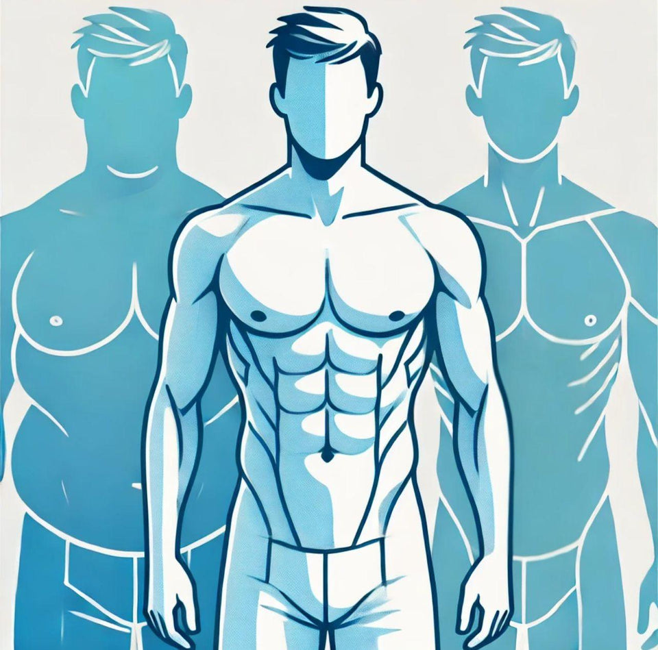 Análise Avançada do Biotipo Corporal - NutriPulse
